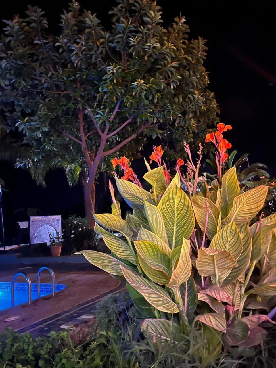 Gite Ecoparadis Madagh Exterior foto
